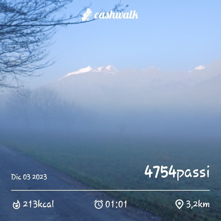 1000036609.jpg_resize
