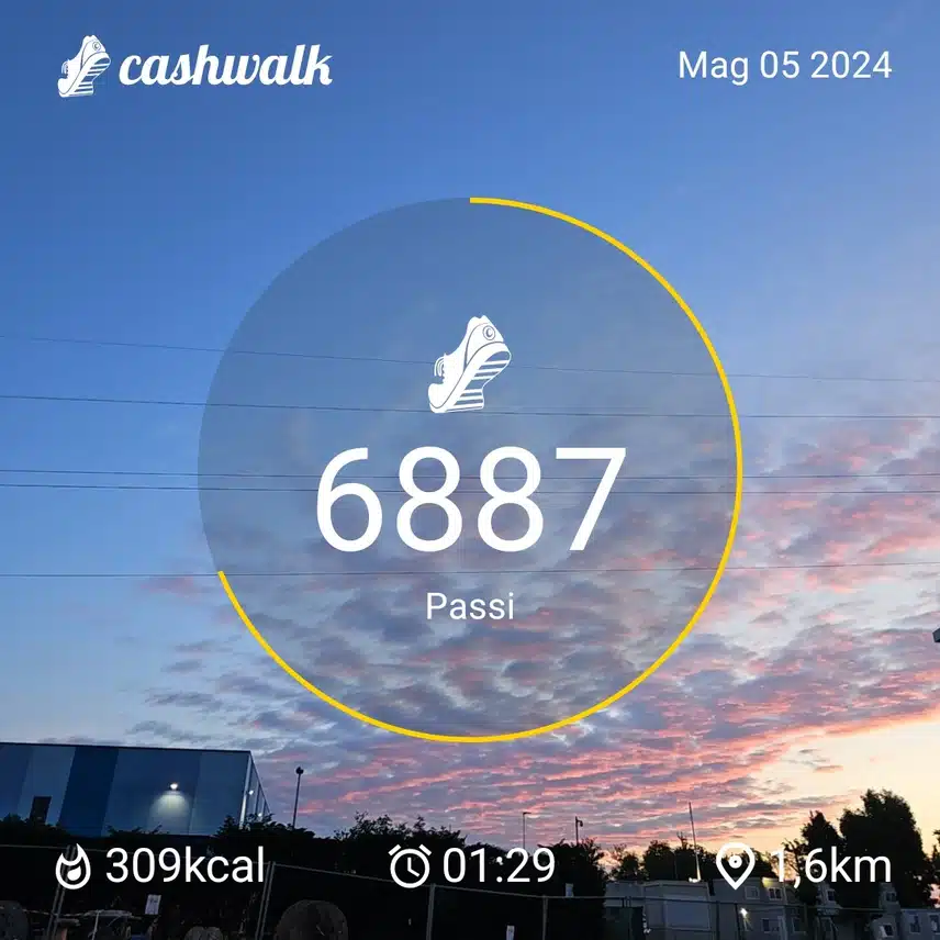 1000021908.jpg_resize