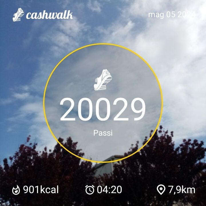 CashWalk_share_capture_20240505_bdafa52e-8346-477a-8554-b4a0d267