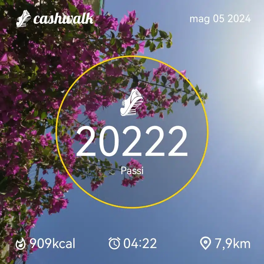 CashWalk_share_capture_20240505_0de76589-21da-4170-9626-a238ddf8