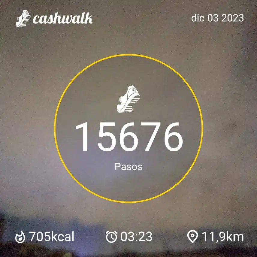 1000008561.jpg_resize