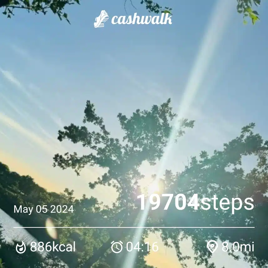 1000015738.jpg