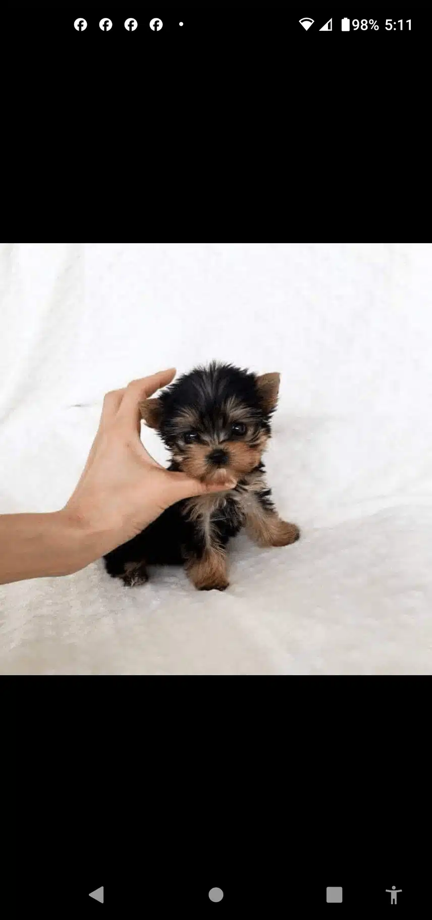 1000128739.png_resize