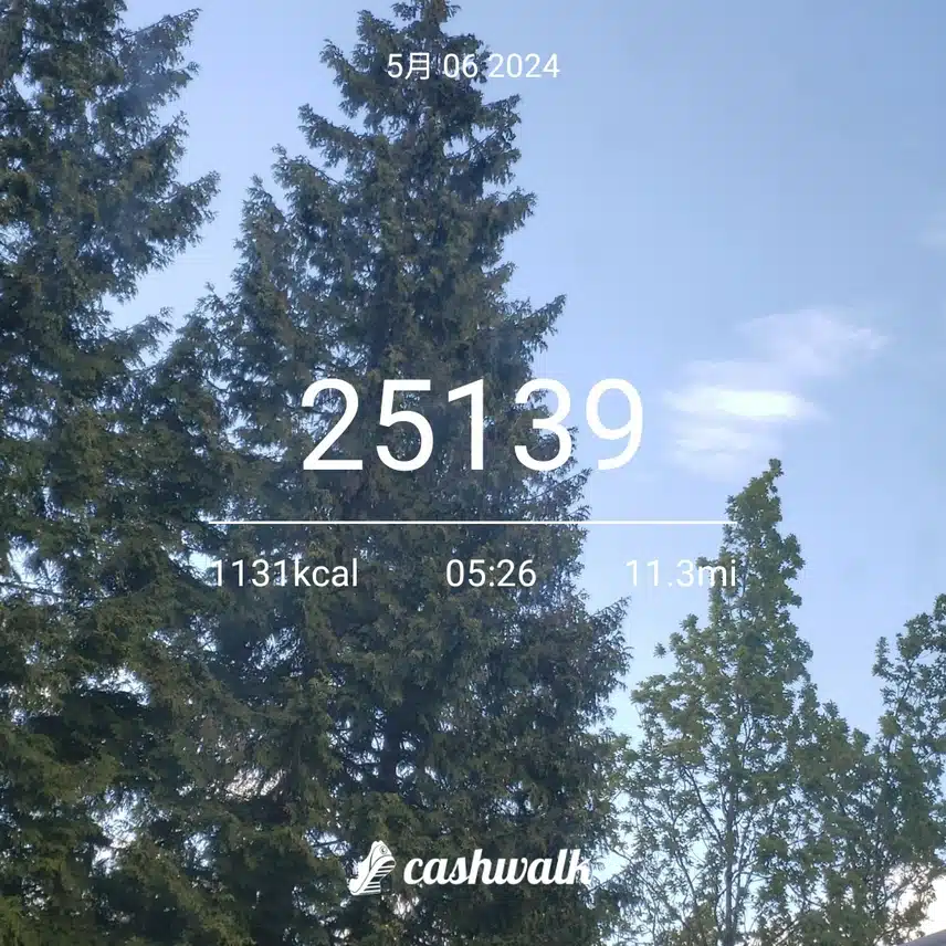 CashWalk_share_capture_20240506_bda4a76c-a0b9-45be-a200-b961a89d