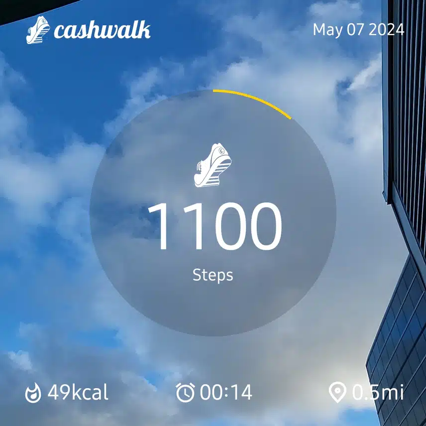 1000046315.jpg