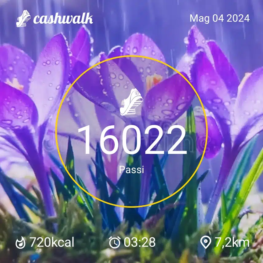 1000034261.jpg