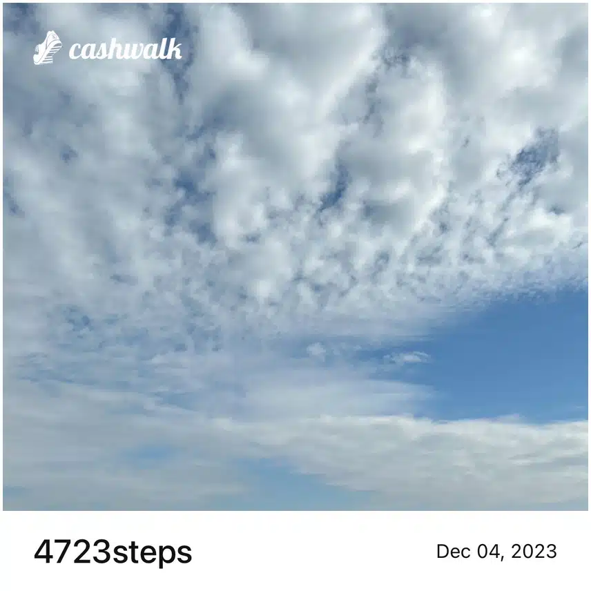 IMG_7299.jpeg_resize