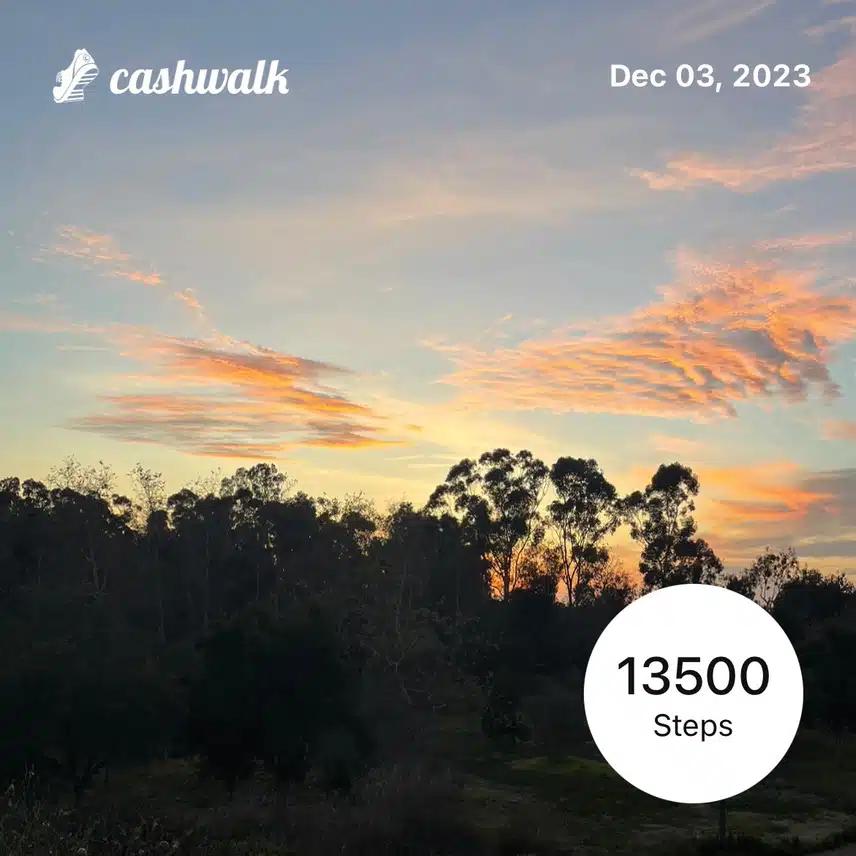 IMG_0159.jpeg_resize