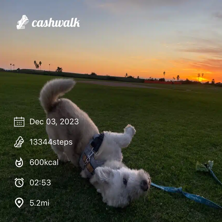 IMG_1217.jpeg_resize