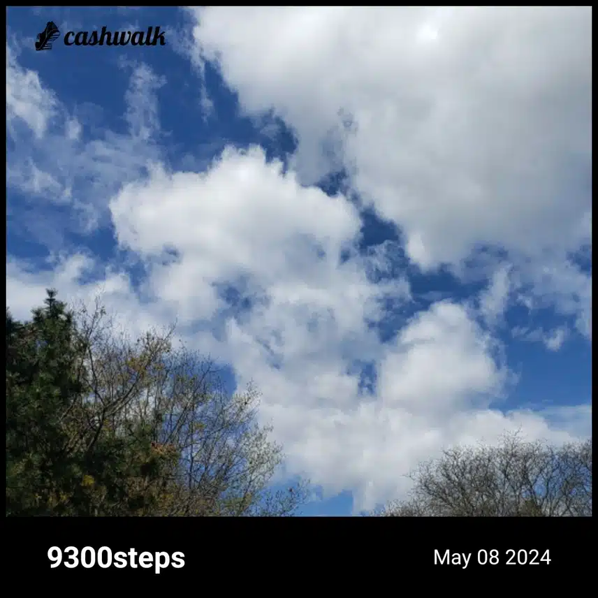 CashWalk_share_capture_20240508_64c34a20-c1ad-4c1d-ad72-4be560d6