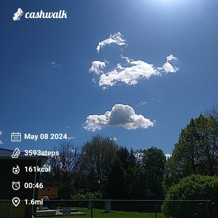 CashWalk_share_capture_20240508_61c3187f-15a8-4314-8427-d55cee38