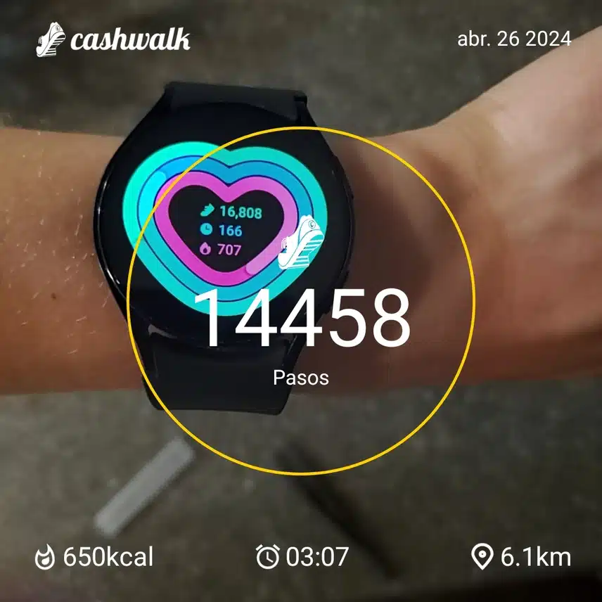 CashWalk_share_capture_20240426_2a2ec6cd-c35f-48b0-840b-911e31a8