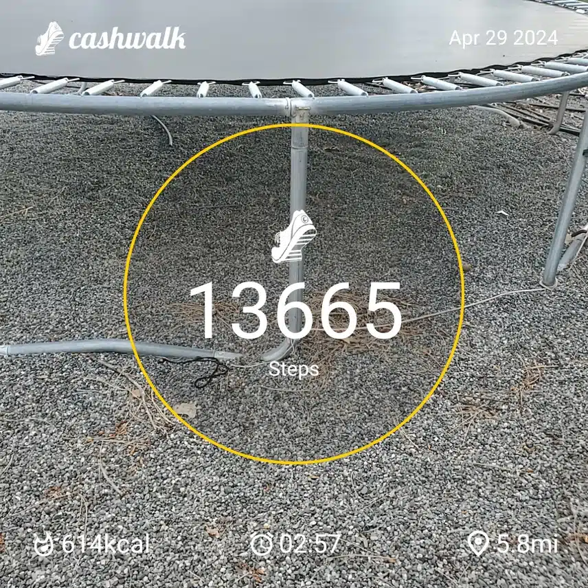 CashWalk_share_capture_20240429_d04ee53b-b45c-4328-847a-881b36db