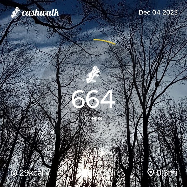 CashWalk_share_capture_20231204_0d9d6212-4e81-44c1-bea8-ad0264ab