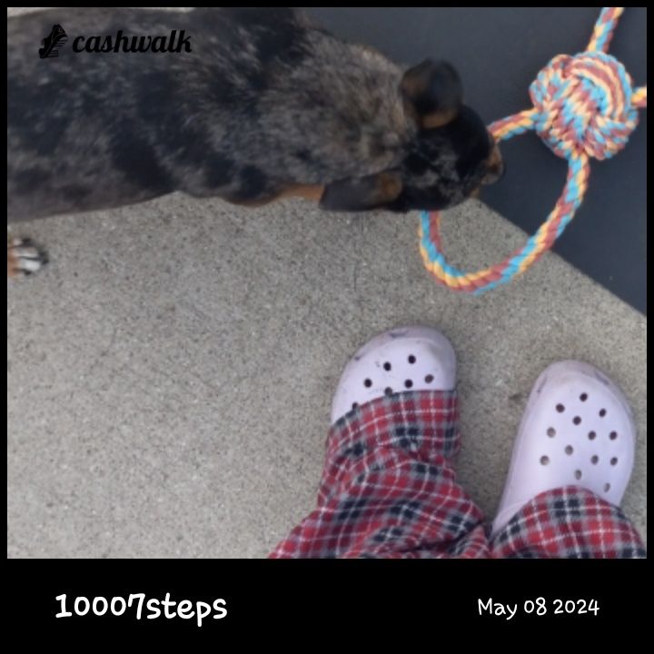 CashWalk_share_capture_20240508_5e430e48-6f88-4d88-888b-122c4897