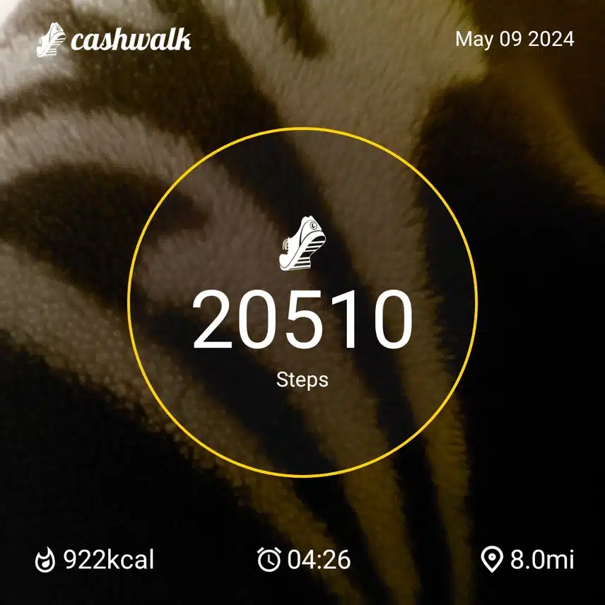 CashWalk_share_capture_20240509_3dcfb7e6-98aa-42d0-8e64-822fd338