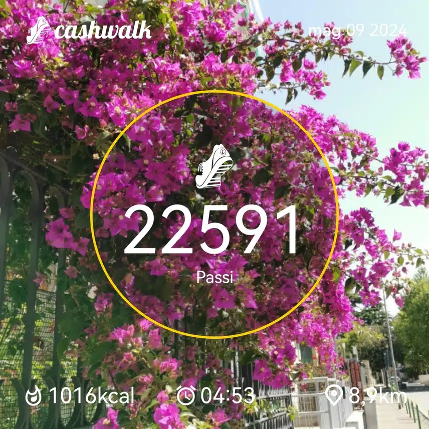 CashWalk_share_capture_20240509_d7444ff2-1d09-45e1-ab47-1290818a