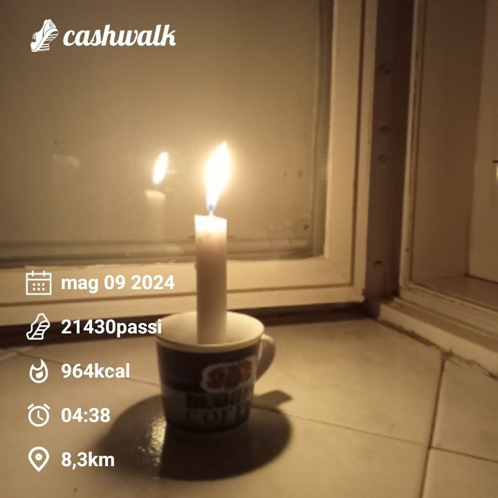 CashWalk_share_capture_20240509_9df83a0f-c0e9-46ec-bf74-f25231a2