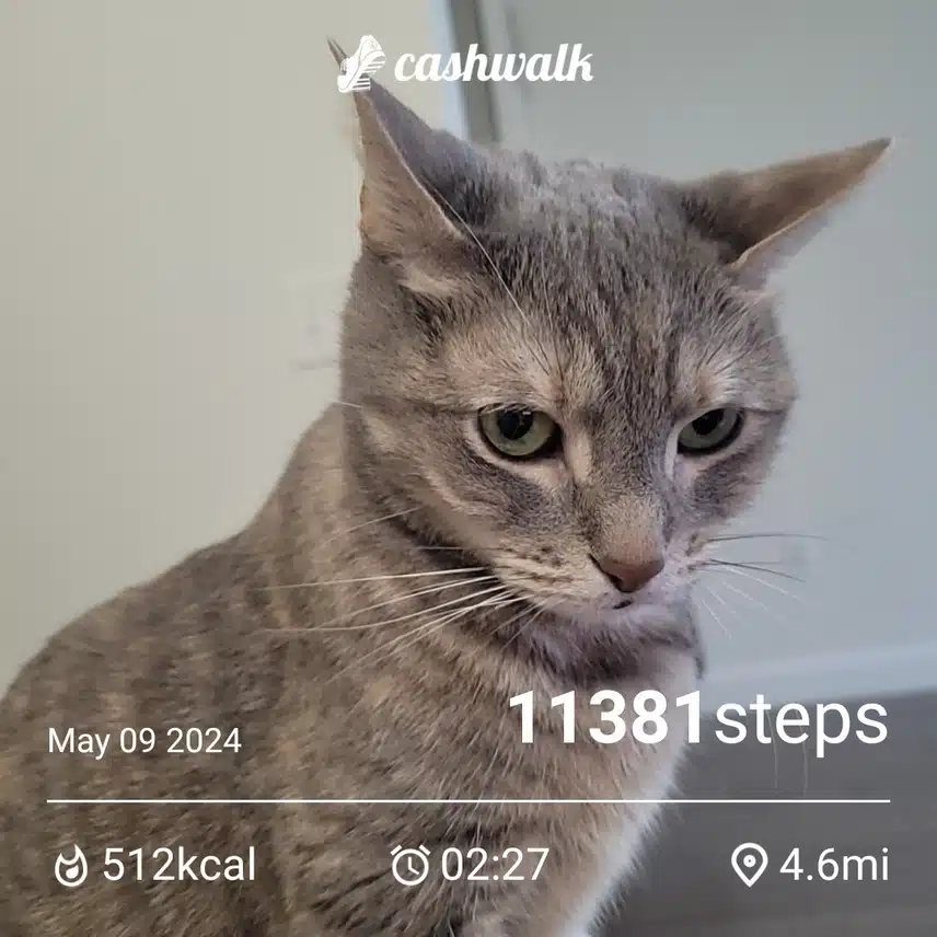 CashWalk_share_capture_20240509_92eee96b-2a00-4fa0-98ab-d5456550