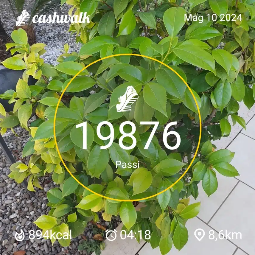 CashWalk_share_capture_20240510_e31b564f-19b4-4af3-8632-4ade200b