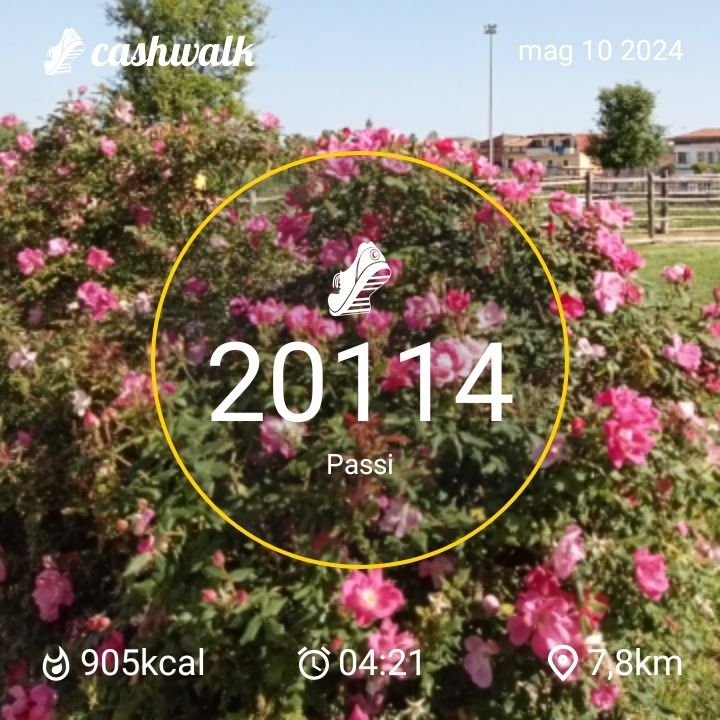 CashWalk_share_capture_20240510_75fa5093-7788-4627-8d0b-2972bfe4