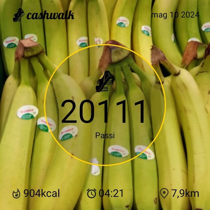 CashWalk_share_capture_20240510_3752ec22-e876-4bd2-af88-d0ae68be