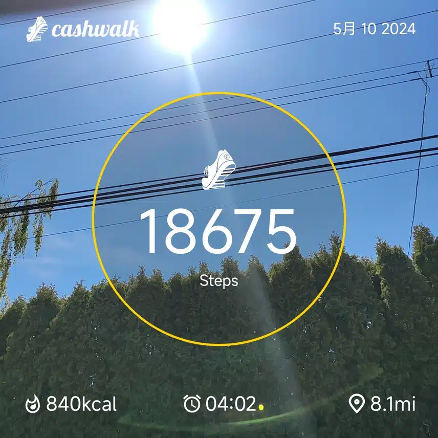 CashWalk_share_capture_20240510_69782d3b-e8a8-47d9-90a3-bc4ec5cf