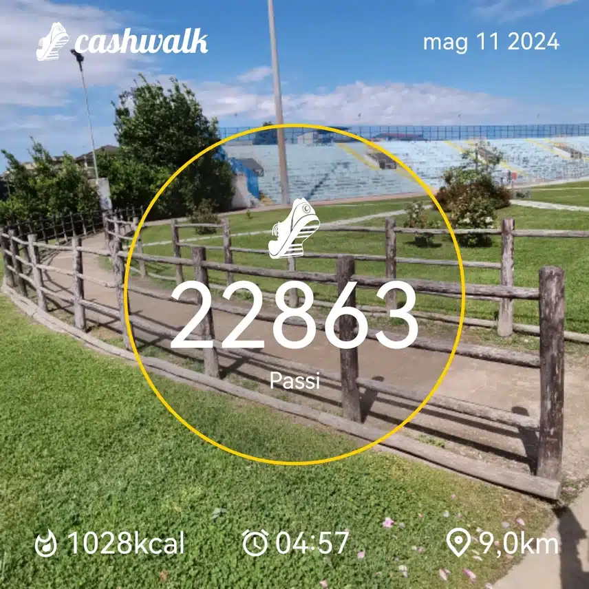 CashWalk_share_capture_20240511_5d01d461-81da-413e-9768-73836b77