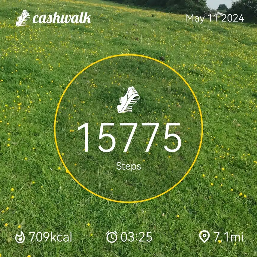 CashWalk_share_capture_20240511_ed5728dd-acdf-4474-b75c-4189bb47