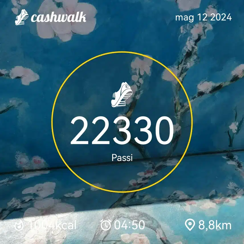 CashWalk_share_capture_20240512_82cfe5a2-7b47-45b1-af18-8e587881