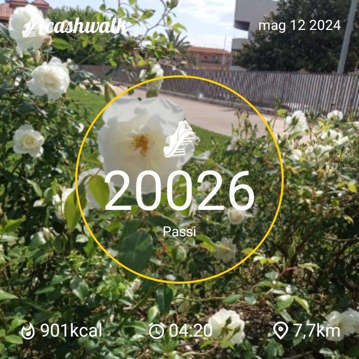 CashWalk_share_capture_20240512_2aa61399-18ec-4ce7-b866-cc158539