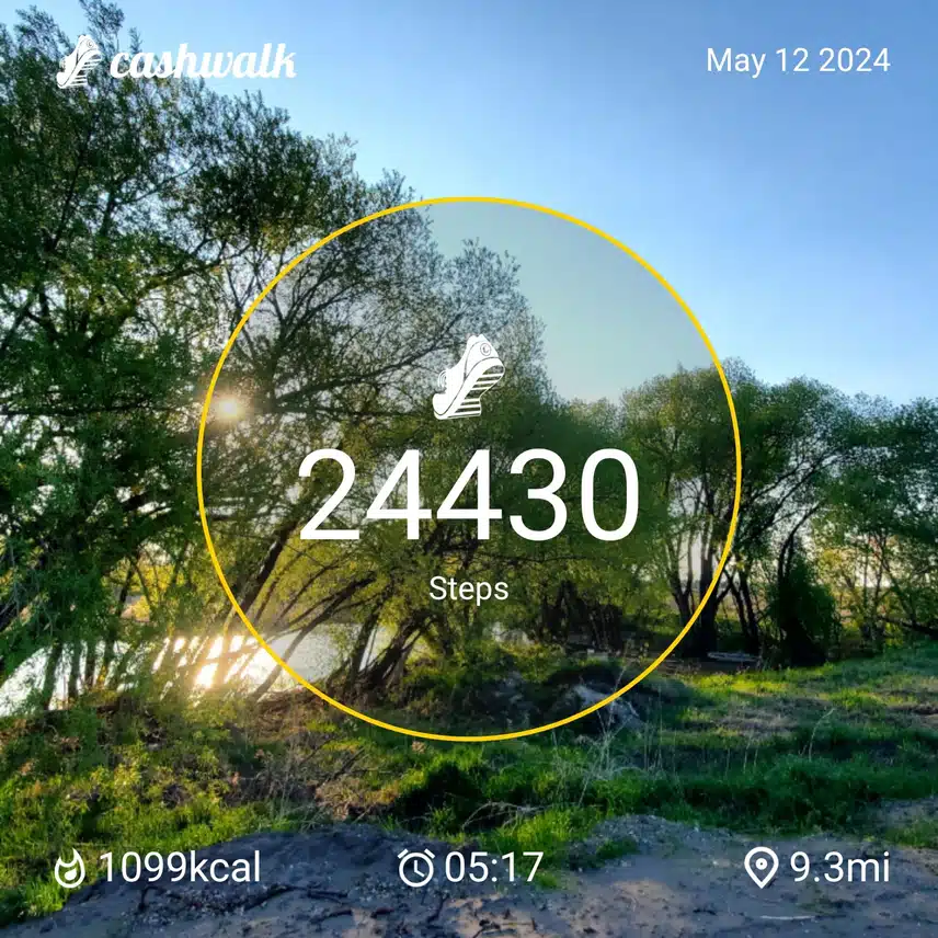 CashWalk_share_capture_20240512_ad880fa9-0189-4bbe-a940-83cb9a59