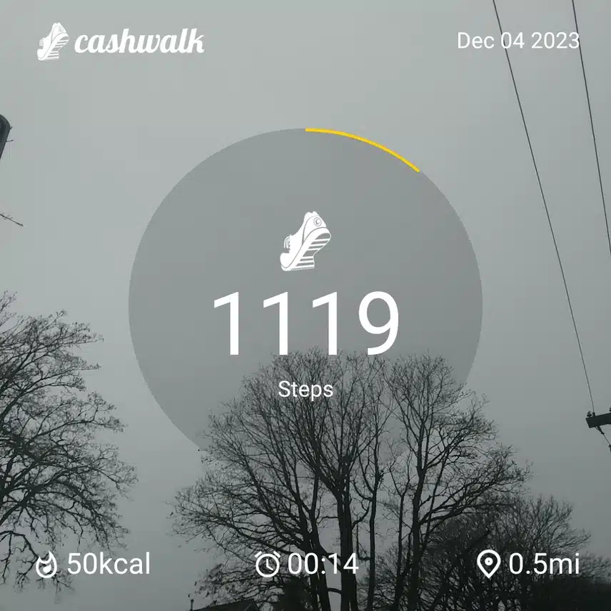 CashWalk_share_capture_20231204_b4327666-e026-444d-92e2-a5a8676f