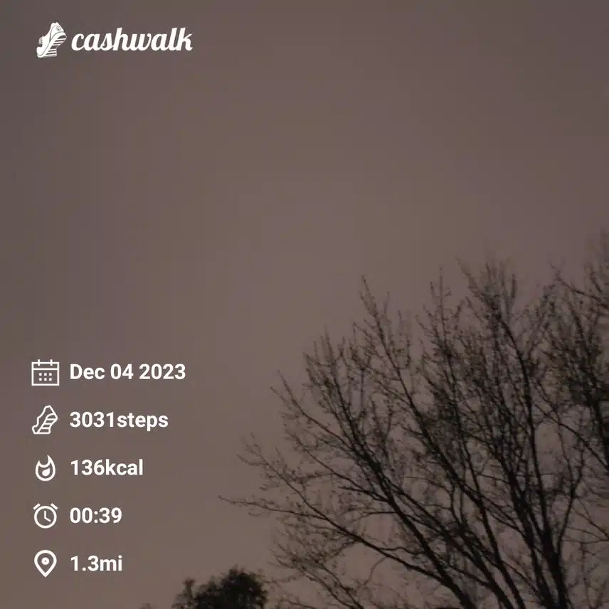 CashWalk_share_capture_20231204_76766e72-47d8-4770-9a55-49e37d3d