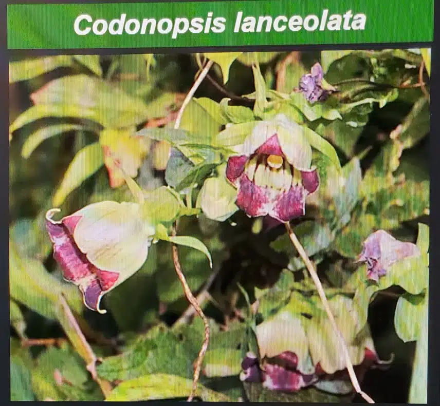 20240512_235658~2.jpg_resize