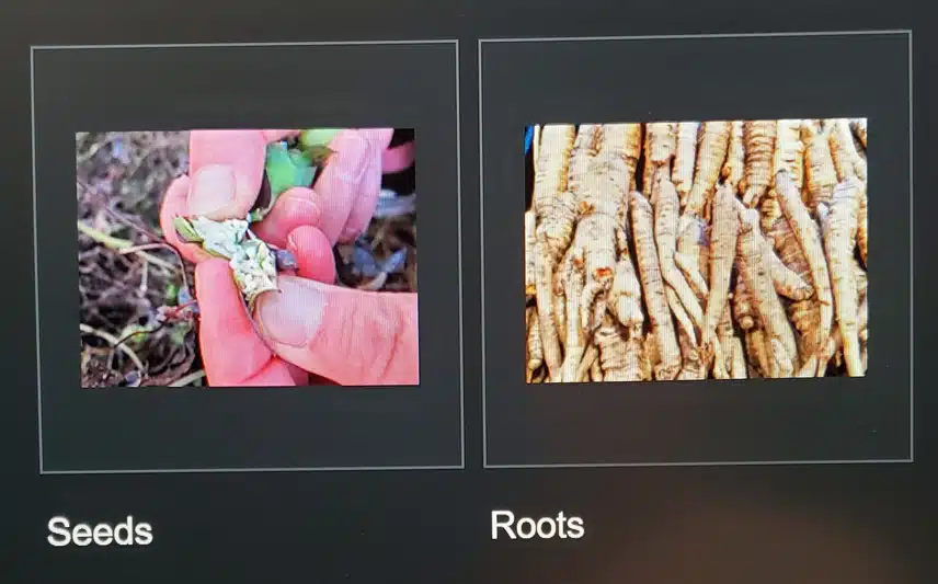 20240512_235535~2.jpg_resize