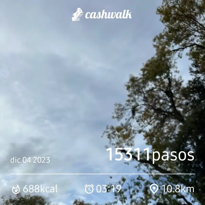 CashWalk_share_capture_20231204_d13f4b7a-f7c0-4f1b-bf31-dbe7097d