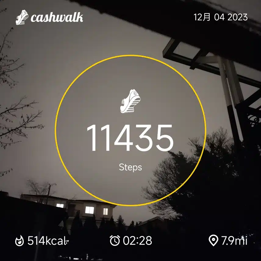 CashWalk_share_capture_20231204_78dc9dff-c51a-40a4-9262-056fde33