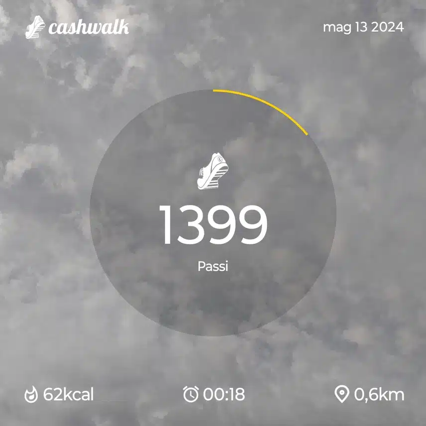 1000008638.jpg_resize
