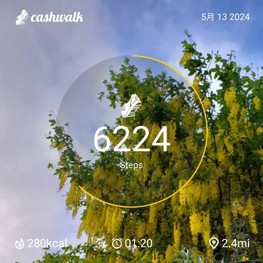 CashWalk_share_capture_20240513_e4326bcb-0092-412a-9ec5-51e0c753