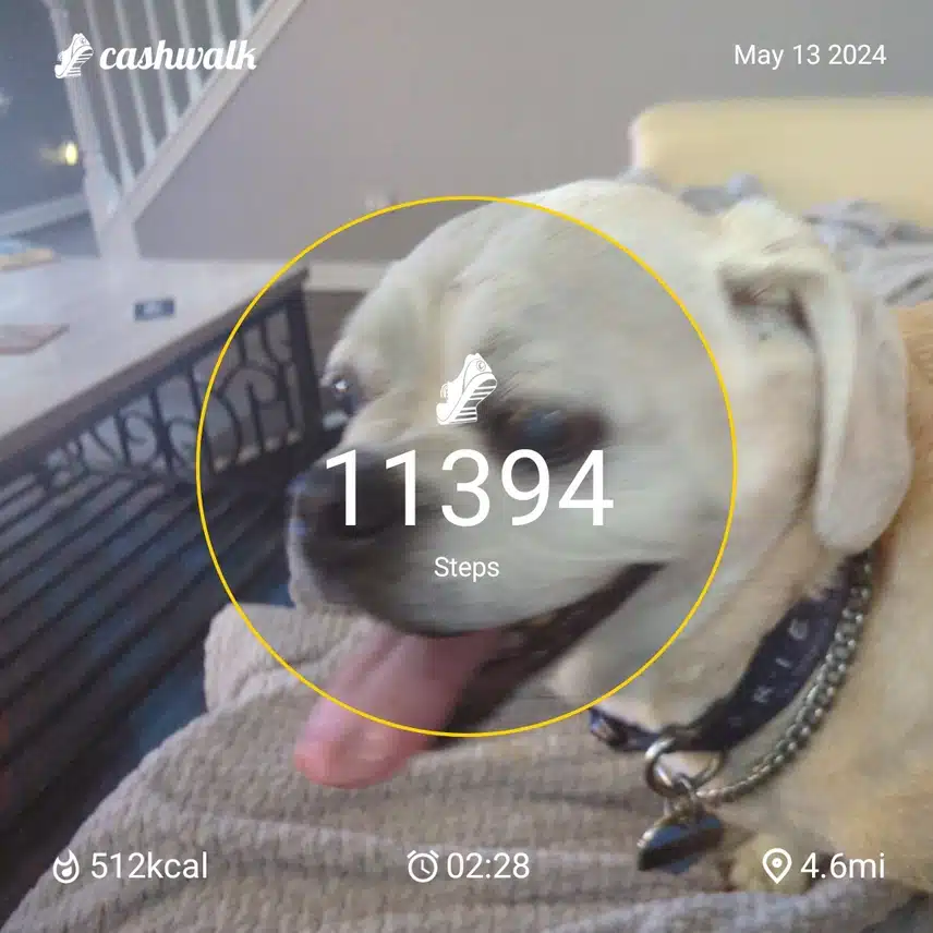 1000007722.jpg_resize