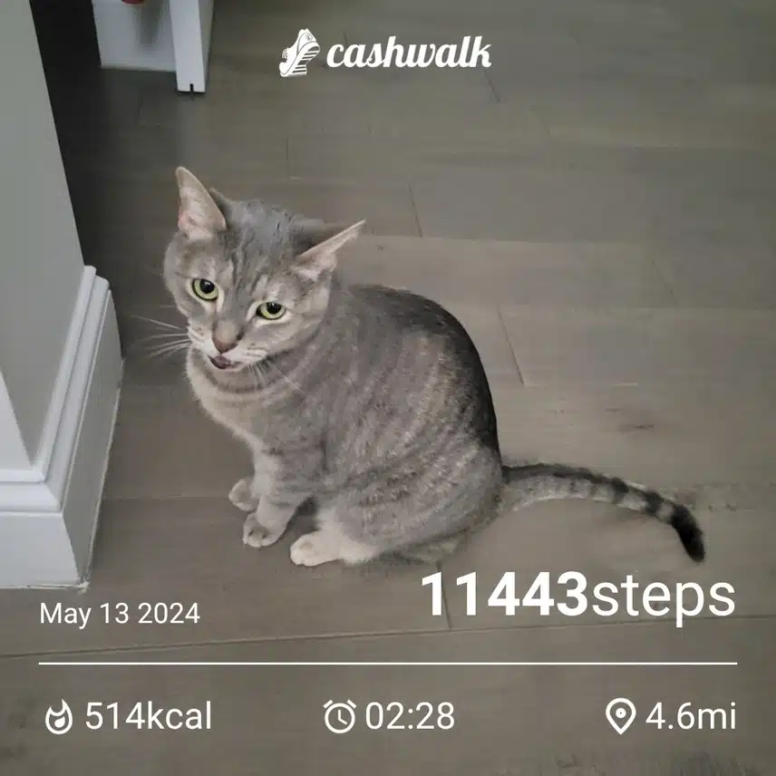 CashWalk_share_capture_20240513_fedcc9c1-1369-49af-b0a1-8556ac04