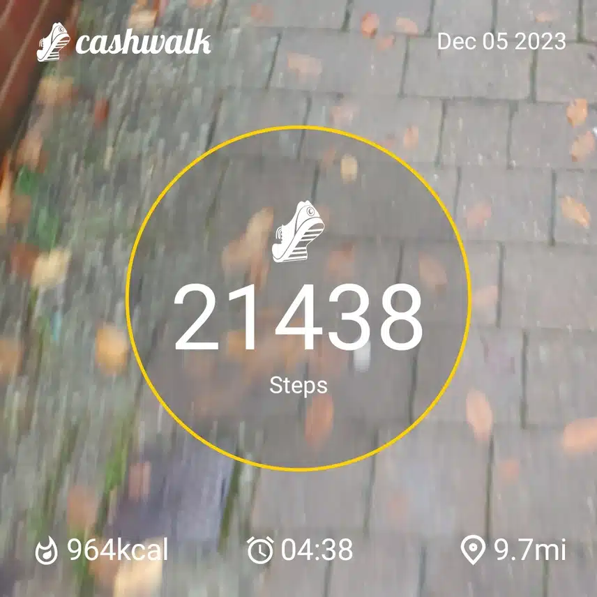 CashWalk_share_capture_20231205_76d4b34b-2ebe-47e3-810f-6f6ed111