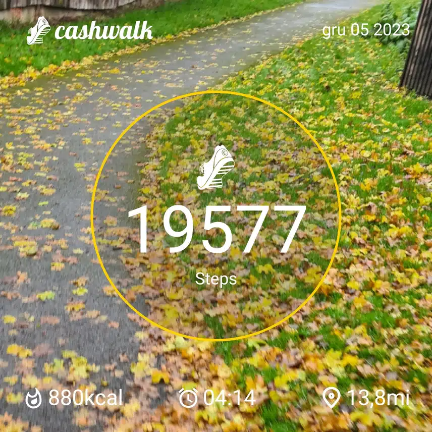 CashWalk_share_capture_20231205_d934a830-5ce0-4498-a6d3-5e595469