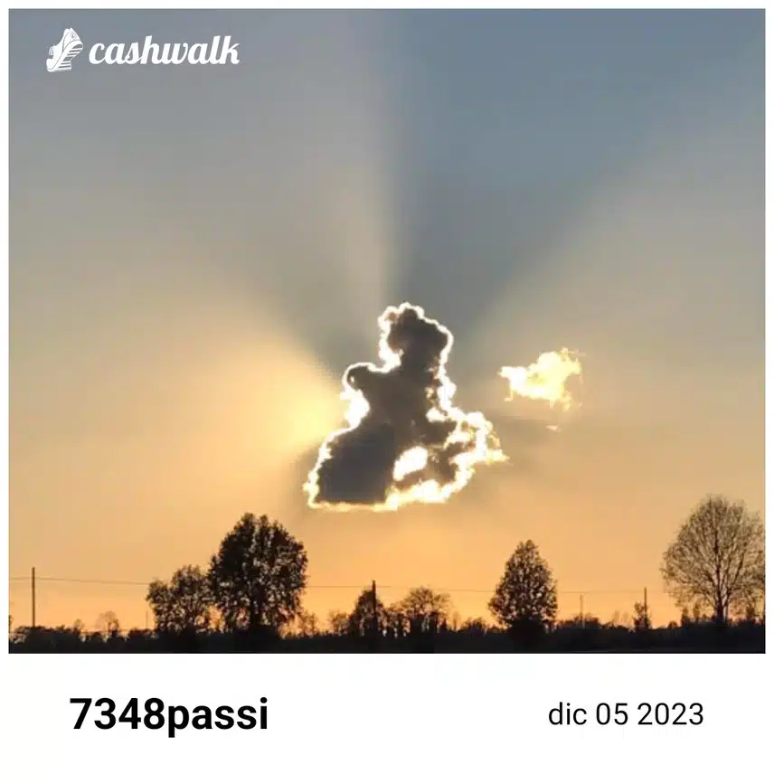CashWalk_share_capture_20231205_551ef2b2-83ed-4698-8619-80eb7943
