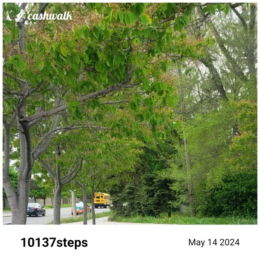 CashWalk_share_capture_20240514_ac021dd8-ea06-4a99-8c5f-d9d1ad20