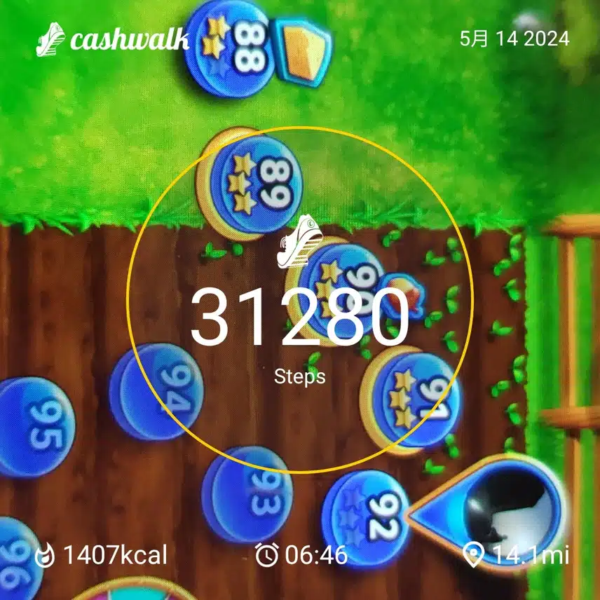 CashWalk_share_capture_20240514_82050048-7778-4ca2-9a65-84e7c8da