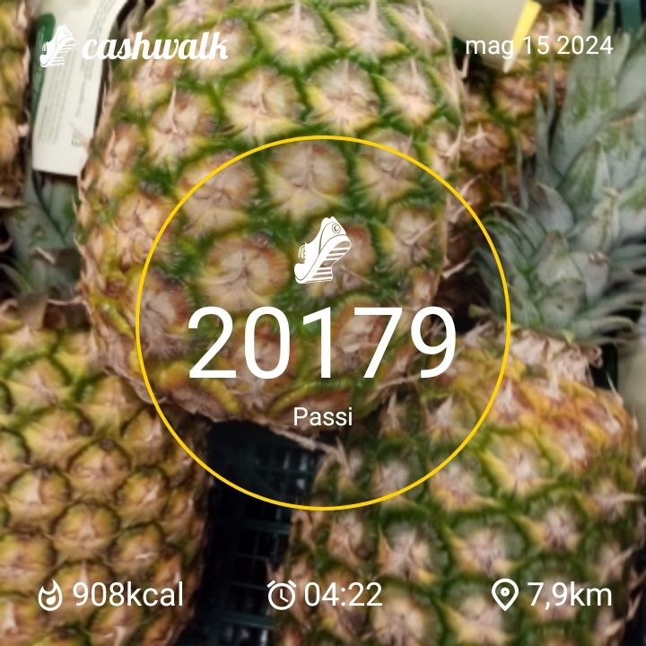 CashWalk_share_capture_20240515_01f4a13a-4349-42b1-bd1e-b73ed08e