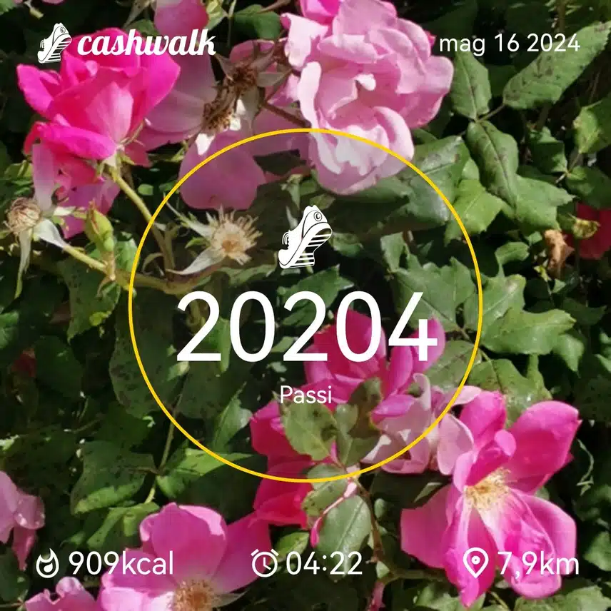CashWalk_share_capture_20240516_26984a13-1c1a-4d85-b825-1bd724ac