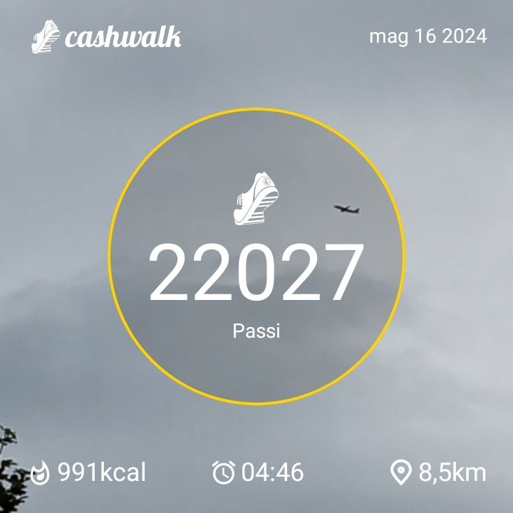 CashWalk_share_capture_20240516_6e1d0a12-46d1-4451-a31a-498f9f4d